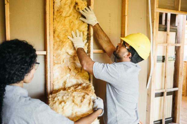 Best Energy-efficient Insulation  in Lake Lorelei, OH